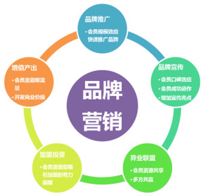 如何打造一个吸引眼球的影视制作网站?让我们从设计、内容到功能,一步步来揭开它的神秘面纱。